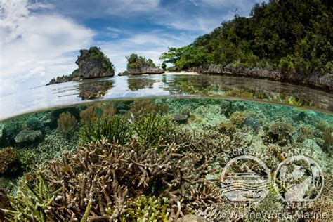 Raja Ampat Aggressor Asia Dive Holiday Liveaboard For Indonesia Dive Worldwide