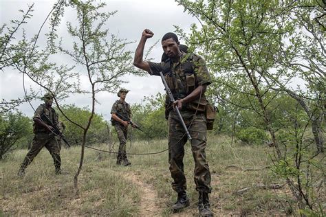 Anti Poaching Ranger Training Photograph By Science Photo Library Pixels