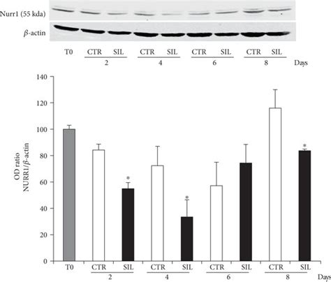 Effect Of NURR1 Short Interfering Knockdown A QPCR Of DPSCs