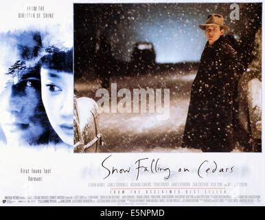 SNOW FALLING ON CEDARS Ethan Hawke Youki Kudoh 1999 Stock Photo Alamy