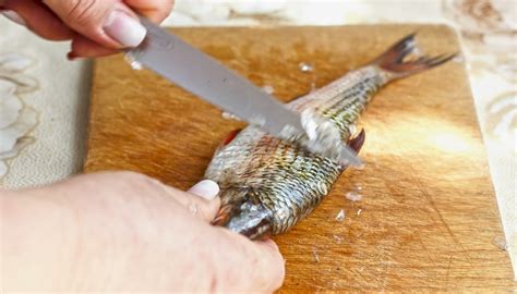 Come Pulire Il Pesce In Modo Semplice Tutti I Consigli Utili