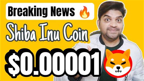 Breaking News Shiba Inu Coin Hit 0 00001 In November 2023