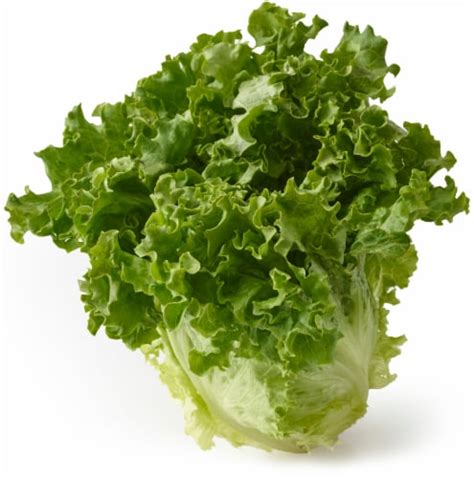 Green Leaf Lettuce, 1 ct - Fry’s Food Stores