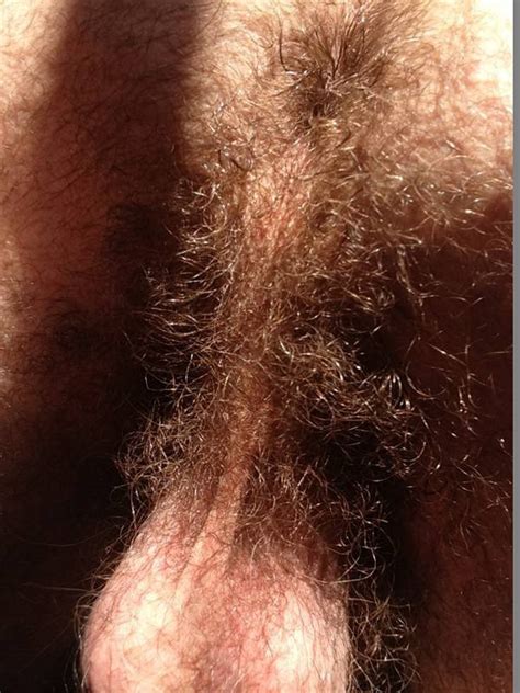 Naked Hairy Men Big Dick XXGASM