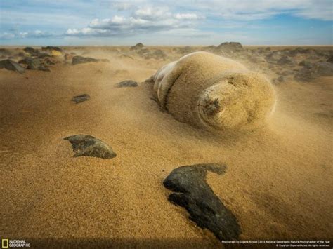 Top 20 Pics From 2016 National Geographic Nature Photographer Of The Year Contest Demilked