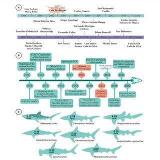 (A) Timeline of the Brazilian authorities relevant to the present... | Download Scientific Diagram