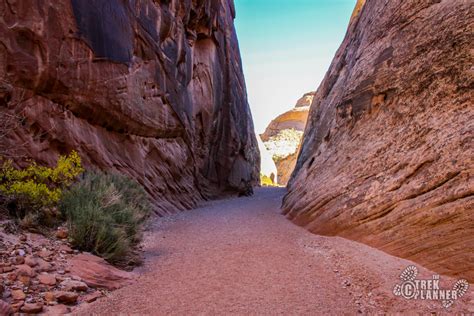 Capitol Reef National Park The Trek Planner