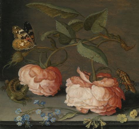 Балтазар ван дер Аст Balthasar van der Ast c 15931657 Dutch