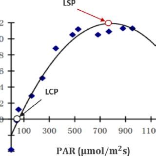 Photosynthesis Light Response Curve Of Highbush Blueberry Leaf