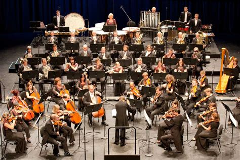 Symphony orchestra definition and meaning | Collins English Dictionary