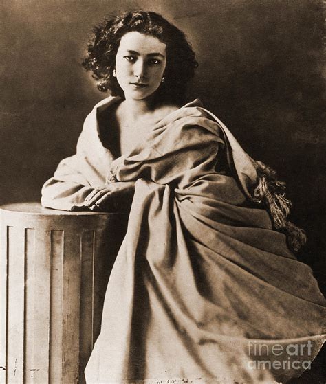 Portrait Of Henriette Rosine Bernard Dit Sarah Bernhardt Photograph By