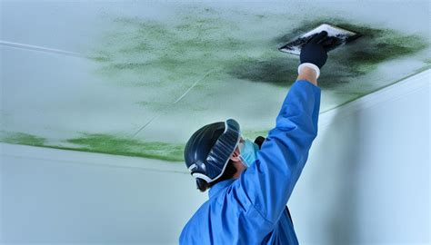 Eliminate Mold On Bathroom Ceiling Quick Tips