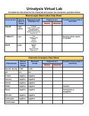 Urinalysis Virtual Lab Pdf Urinalysis Virtual Lab Complete The Data