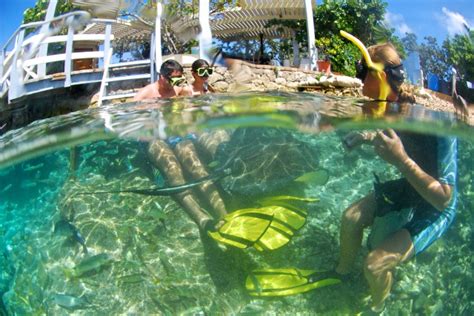 Flirty Bikini And Underwater Fun Negin Mirsalehi