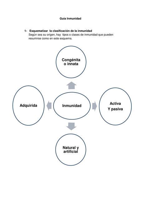 Res Menes De Gu A Inmunidad Descarga Apuntes De Gu A Inmunidad