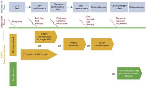 Asco发布卵巢癌parp抑制剂治疗指南 全球肿瘤快讯 北京大学肿瘤医院 北京大学临床肿瘤学院、北京市肿瘤防治研究所