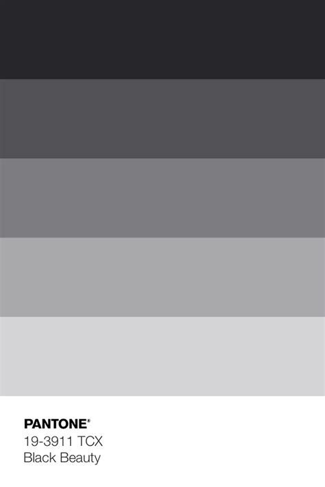 Charcoal Color Palette Winter Color Palette Winter Colors Charcoal