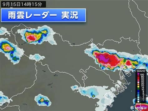 東京都心でゲリラ豪雨 今夜にかけて大雨や雷雨に警戒 コラム 緑のgoo