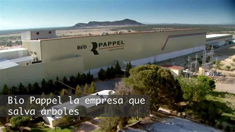 Bio Pappel La Empresa Que Salva Rboles Youtube