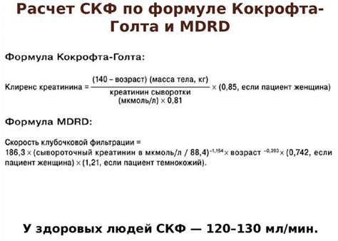 Проба Реберга: как правильно сдавать, расшифровка анализа, нормальные ...