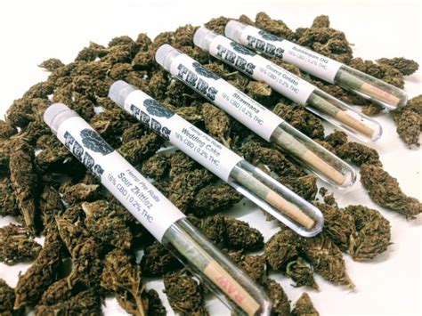 Everything You Should Know About Hemp Pre Rolls The Frisky