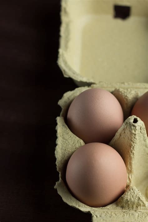 Bio Eier aus Österreich kaufen