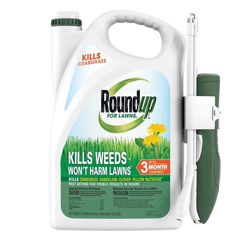 Roundup For Lawns1 1 33 Gal Ready To Use Extended Wand Northern