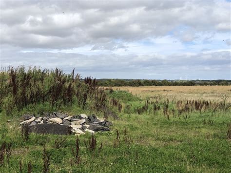 Ungrazed Land On The Edge Of Ashington Richard Webb Cc By Sa