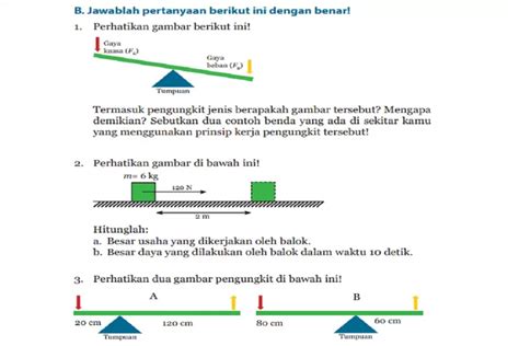 Kunci Jawaban Ipa Kelas Halaman Soal Esai Uji Kompetensi Bab