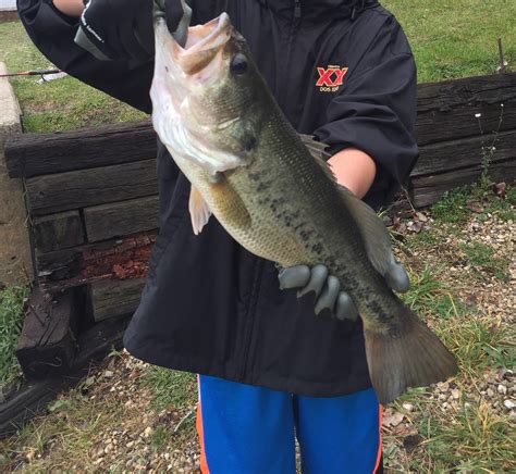 Pb : r/Fishing