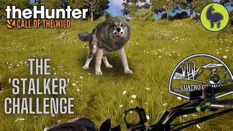 The Stalker Challenge Cuatro Colinas Thehunter Call Of The Wild