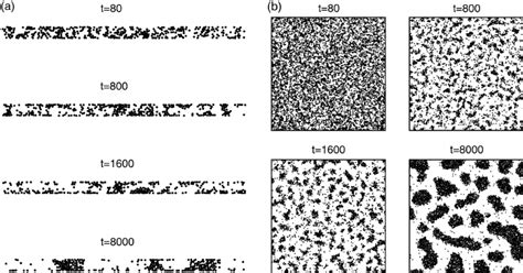 A Snapshots Of The Concentration Distribution In Cross Sectional