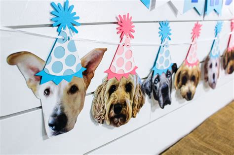 Dog Birthday Banner Dog Birthday Dog Photo Banner Face | Etsy