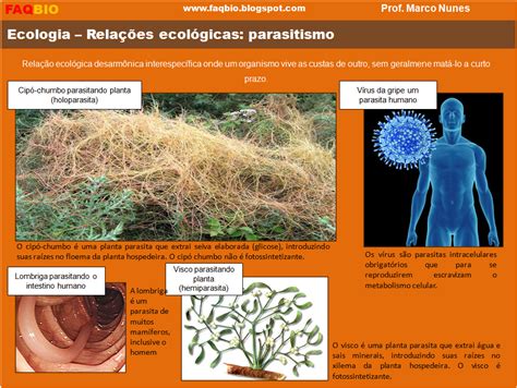 Faqbio Apoio Ao Estudo De Biologia Ficha Resumo Ecologia