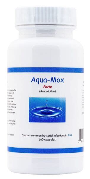 Aqua Mox Forte Amoxicillin Fish Antibiotic 500mg 100 Capsules For