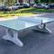 Outdoor Ping Pong Table Encho Enchev Ete Contemporary Home