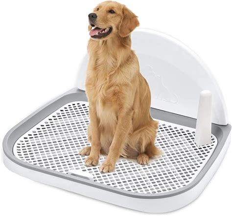 Interieur Bac Liti Re Toilette Pour Chien Plateau Pour Chiot Porte