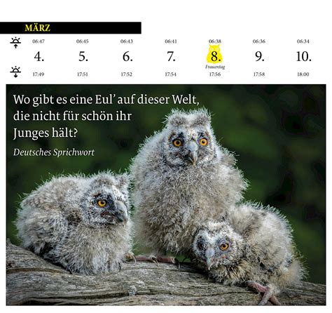 Der Ewige Un Poetische Eulenkalender Kulturverlag Kadmos Berlin