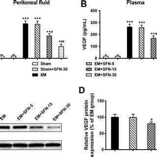 Effect Of Sulforaphane On The Levels Of Vegf In The Em Models N