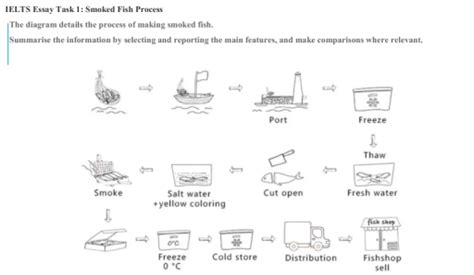 The Diagram Details The Process Of Making Smoked Fish Summarise The