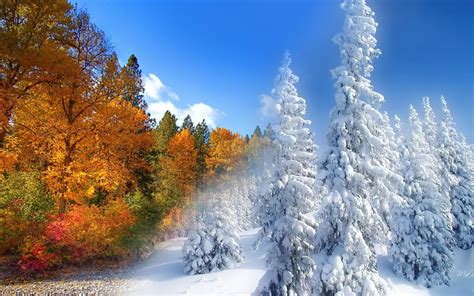 Fall To Winter Hd Desktop Wallpaper Widescreen High Definition