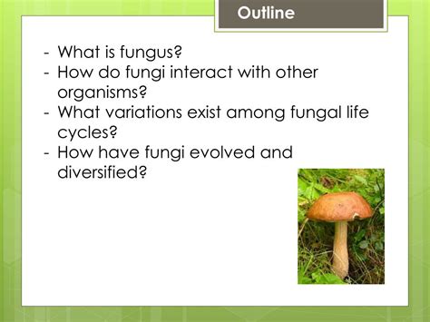 Ppt Fungi Powerpoint Presentation Free Download Id2373387