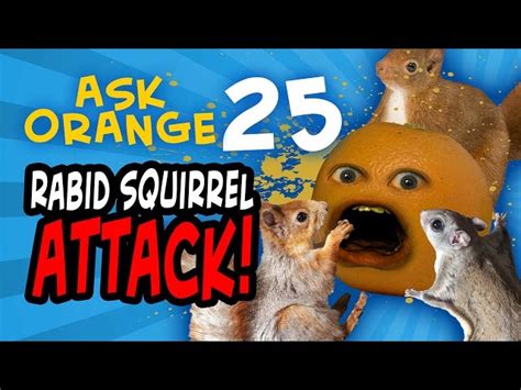 Rabid Squirrel Attack | The High Fructose Adventures of Annoying Orange ...