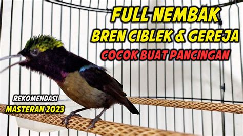 Konin Gacor Full Nembak Isian Greja Mix Bren Ciblek Cocok Buat