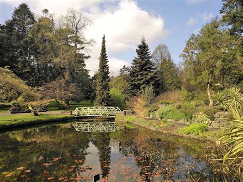 Botanic Gardens, Dublin, Ireland - Fiiaelina