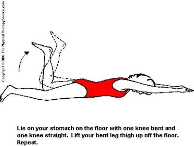 Trunk Pelvis Exercises From Thephysicaltherapysource Trunk