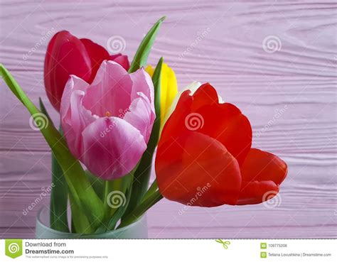 Beautiful Fresh Tulips Vase On Pink Wooden Place For Text Stock Photo