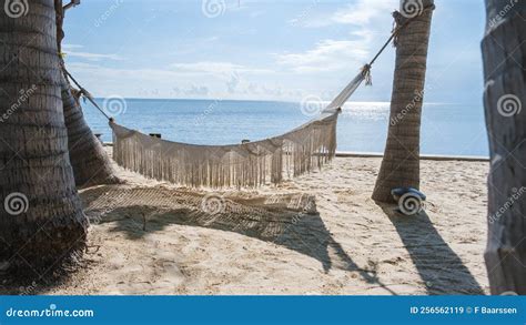 White Hammock Under Palm Trees At A Tropical Beach In Thailand Hua Hin