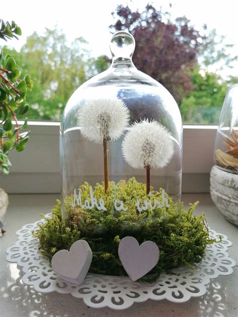 Pusteblume Haltbar Machen Konservieren Im Glas Und Als Deko Verwenden