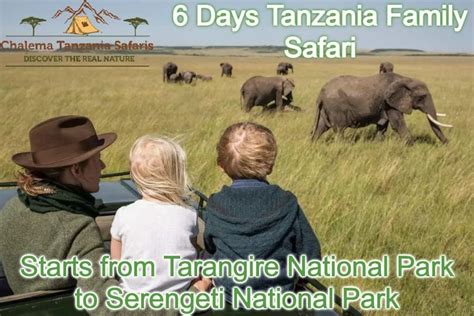 Discover The Ultimate 6 Days Tanzania Safari Adventure With Chalema